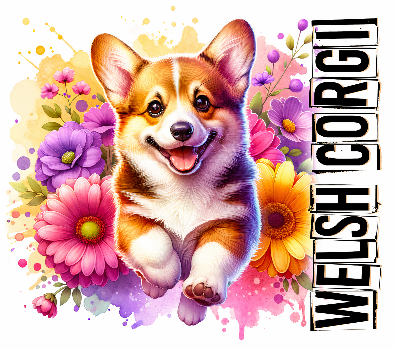 Spring & Summer Dog Collection
